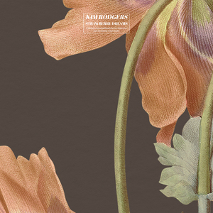 九九热最新获取地址
