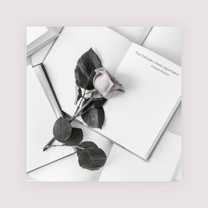 九九热最新获取地址
